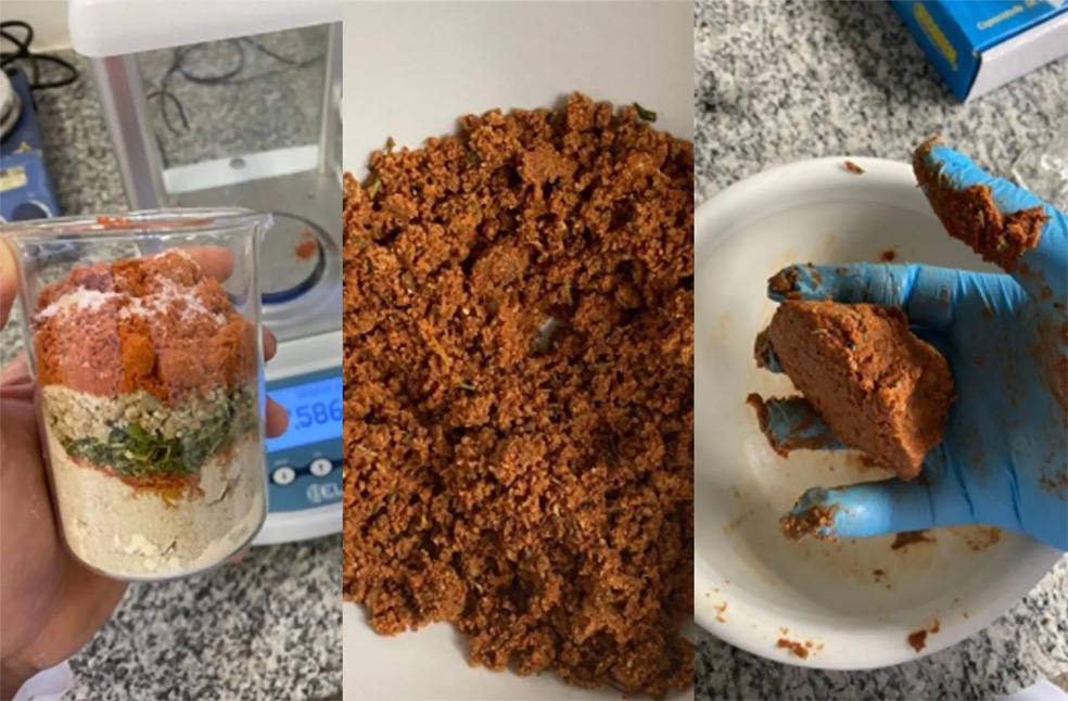 Sunflower flour redefines meat-Image Via-UNICAMP