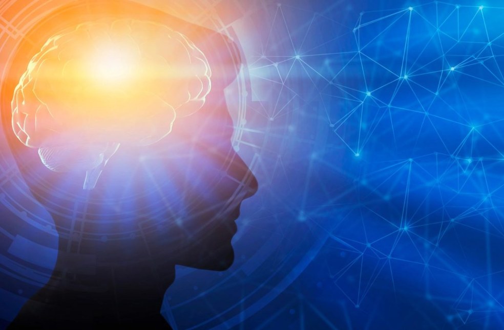 Scientists map five big phases in Brain’s lifelong evolution