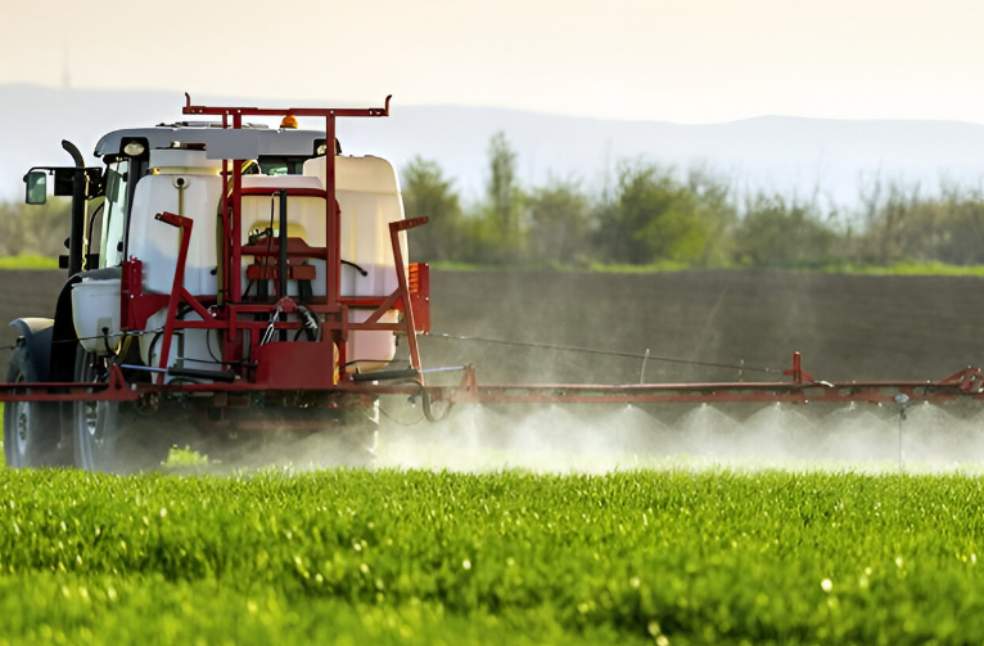 Common chemicals found to harm beneficial gut bacteria