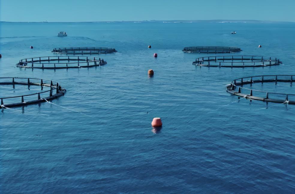 EAD achieves 100% Sustainable Fisheries Index milestone