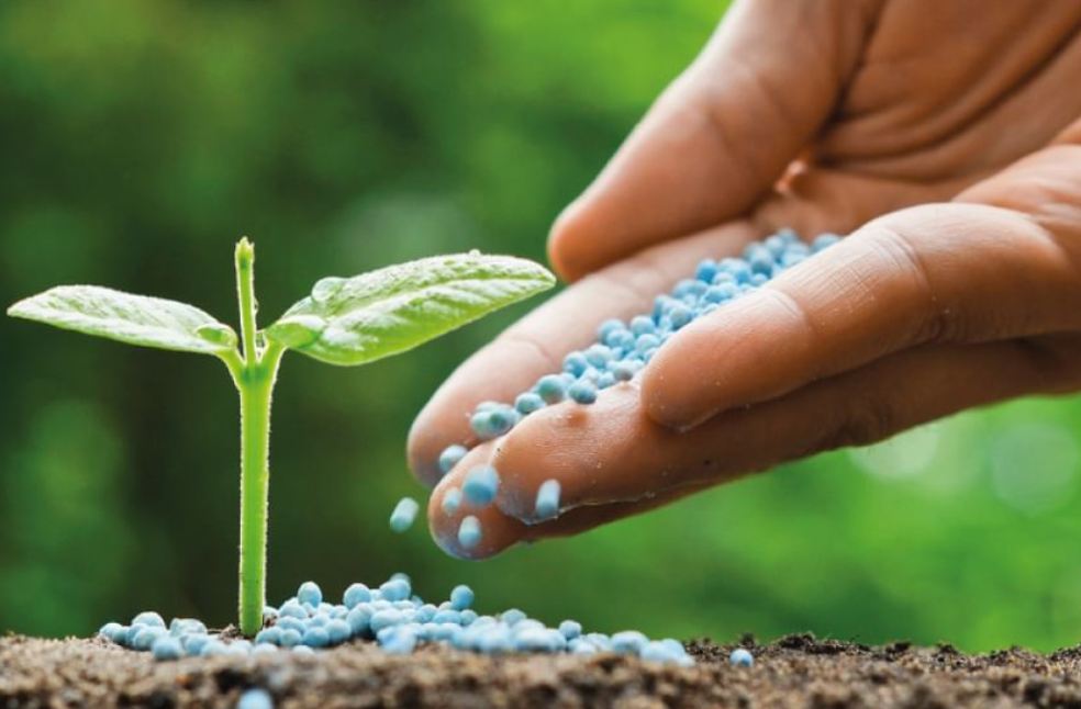 Khalifa University researchers boost soil fertility in arid areas
