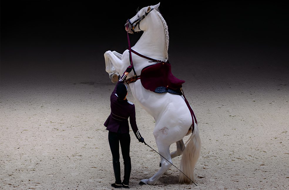 ADREA marks Chinese Year of the Horse with three-day event