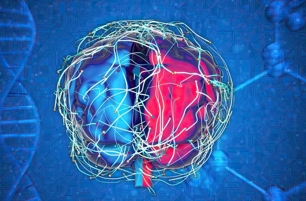 Blood flow changes in brain may signal early Alzheimer’s risk - Emirati ...