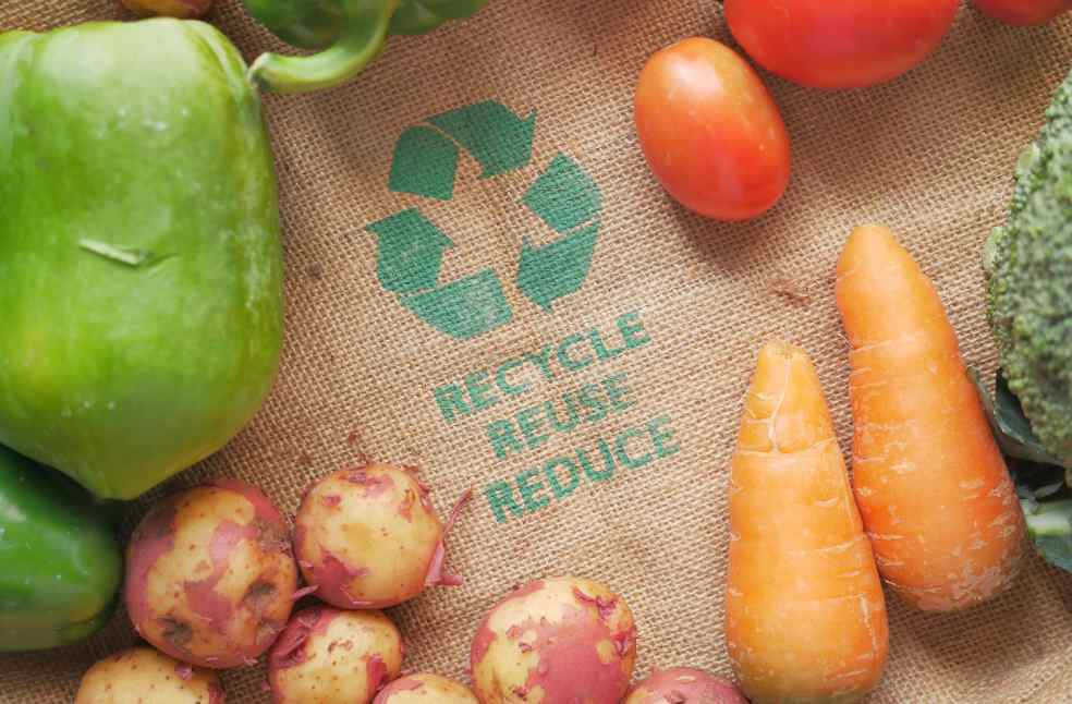 International Day of Zero Waste spotlights fight against food waste