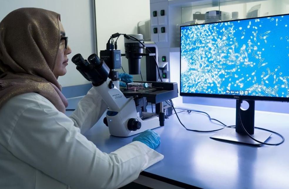UAE boosts role in regenerative medicine and gene therapies