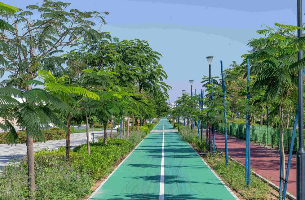 Abu Dhabi City Municipality to plant more trees across city